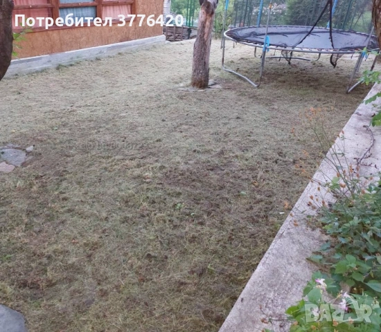 Поддръжка на тревни площи , снимка 2 - Други услуги - 54178883