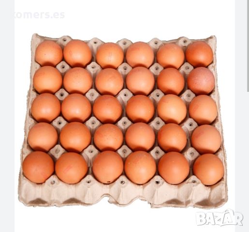 продавам пресни домашни яйца от щастливи кокошки, снимка 1 - Домашни продукти - 46036766