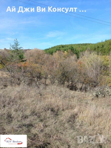 Парцел в с. Клисура, гр. Банкя, снимка 16 - Парцели - 52400664