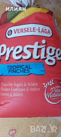 Гулдови амадини 25г.Японски , снимка 6 - Амадини - 53662690