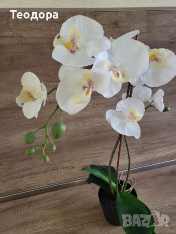 Изкуствена орхидея, снимка 1 - Декорация за дома - 45506440