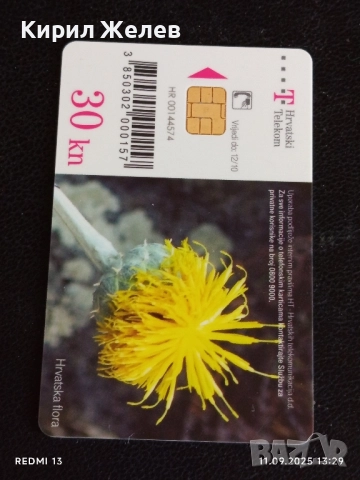 Три фонокарти ХЪРВАТИЯ, ГЕРМАНИЯ стари редки за КОЛЕКЦИЯ ДЕКОРАЦИЯ 50941, снимка 5 - Колекции - 51677998