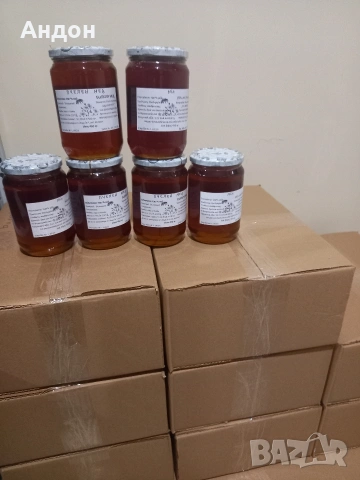 пчелен мед/клеева тинктура/прашец от производител, снимка 4 - Пчелни продукти - 27698721