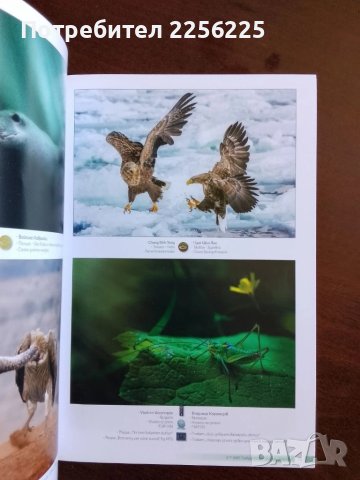 Осми международен фото салон Пловдив 2021г, снимка 4 - Енциклопедии, справочници - 50695846