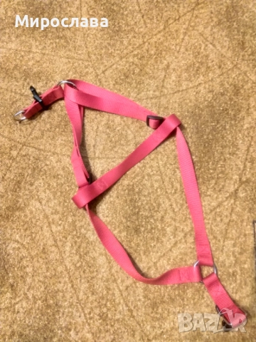 Нашийници, поводи и нагръдник за куче , снимка 2 - За кучета - 52189479