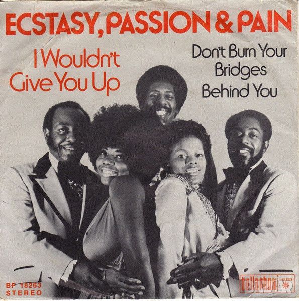 Грамофонни плочи Ecstasy, Passion & Pain ‎– I Wouldn't Give You Up 7" сингъл, снимка 1