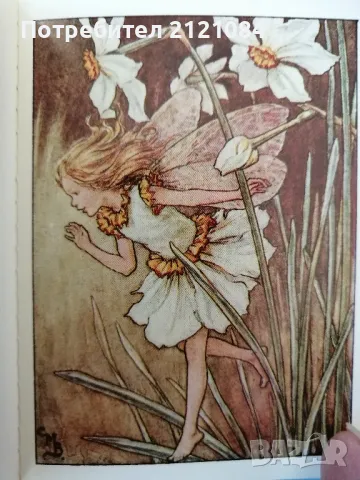 Flower Fairies Miniature library * Cicely Mary Barker , снимка 6 - Художествена литература - 49415112