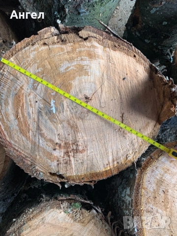 Трупи от череша октомври 2025, снимка 2 - Строителни материали - 52651747