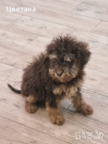 Лагото Романьоло, снимка 2 - Други - 53912287