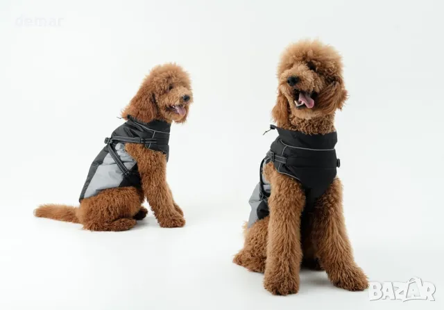 Дъждобран за кучета DOGOPAL с вграден колан - Водоустойчиво палто за кучета (сиво, #5), снимка 9 - За кучета - 49677278