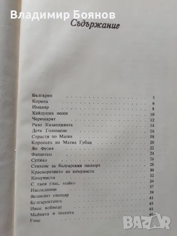 Стихосбирка "ЛЯТО" от Иван Бурин, снимка 3 - Българска литература - 47165880