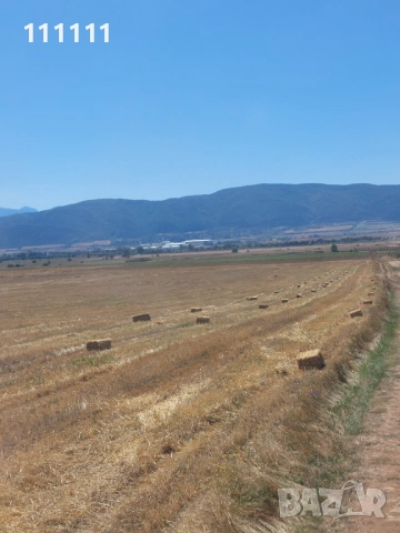 Продавам бали слама , снимка 16 - За селскостопански - 51257470