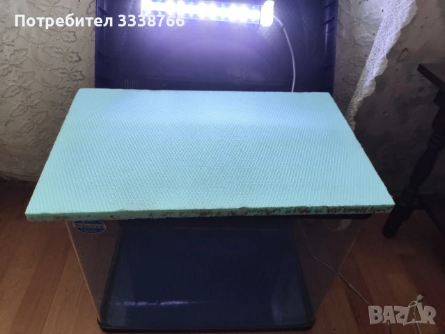 Аквариум , снимка 6 - Аквариуми - 51146070