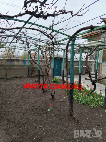 Едноетажна къща в село Узунджово обл. Хасково, снимка 4 - Къщи - 49738232