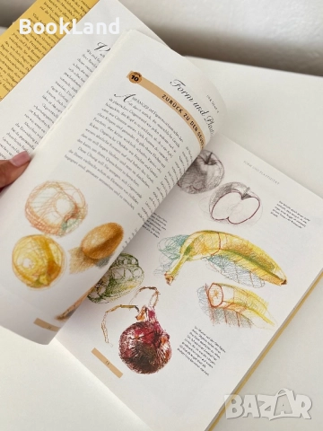 Der Mensch| Zeichnen Lernen Leighton Gemacht , снимка 13 - Художествена литература - 51743606