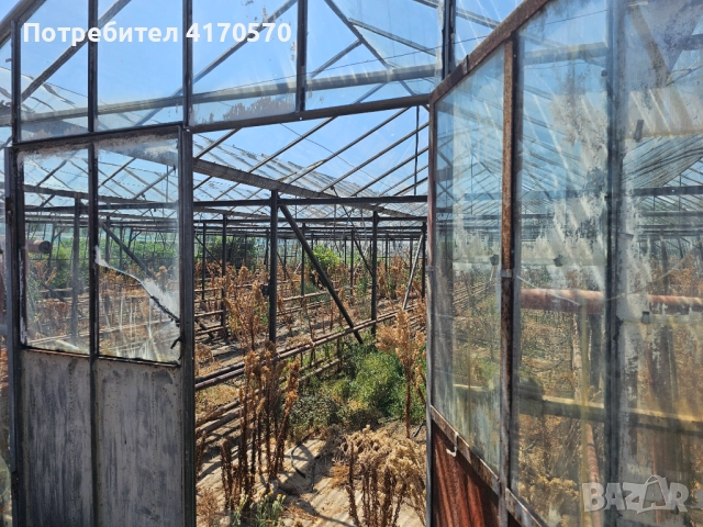 Продава се стъклена оранжерия, снимка 18 - Оранжерии - 51654998