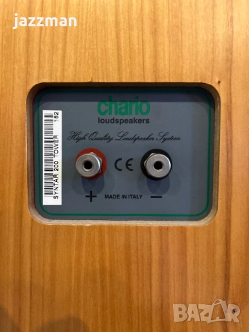 Chario Syntar 200 Tower – Италиански Hi-Fi подови тонколони, снимка 10 - Тонколони - 53797555