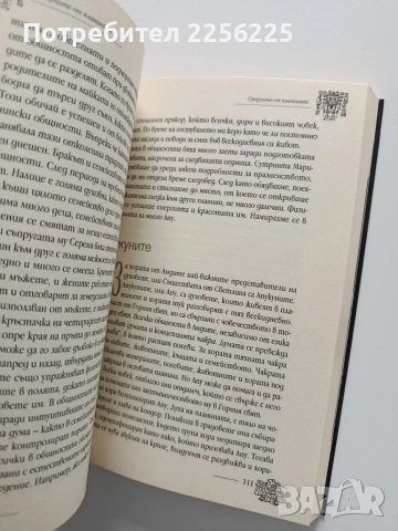Пробуждане в Андите, снимка 3 - Художествена литература - 53922421
