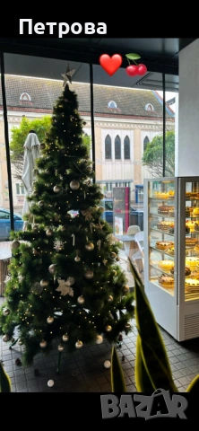 3 метра Коледна елха