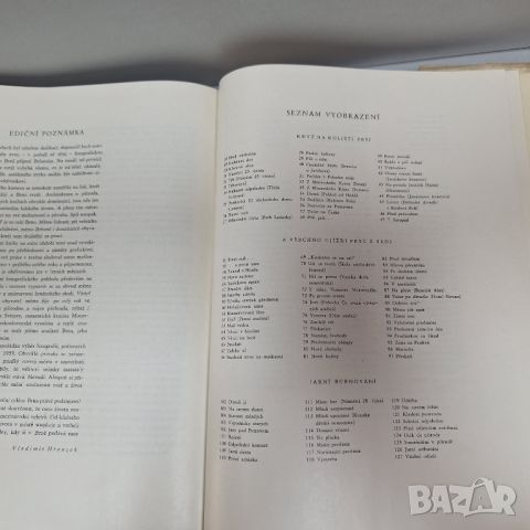 Бърно: Ein Photographisches Bilderbuch: Книга с фотографски снимки, снимка 9 - Енциклопедии, справочници - 46443803
