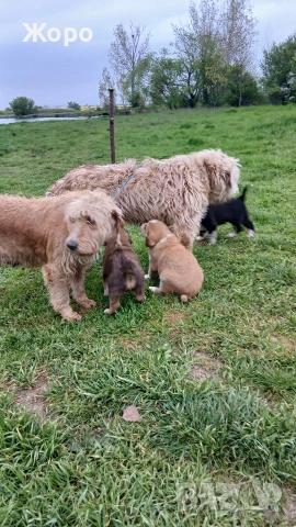 Бараци на два месеца 