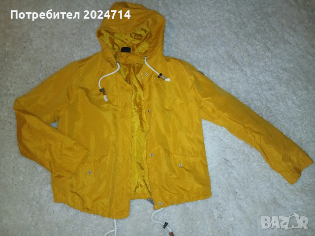 Яке цвят горчица Colors of the world M