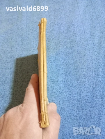 Даниел Риш - Омайничето част 1, снимка 2 - Художествена литература - 53834092