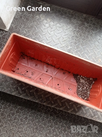 Сандъче - Саксия , снимка 3 - Саксии и кашпи - 53118181