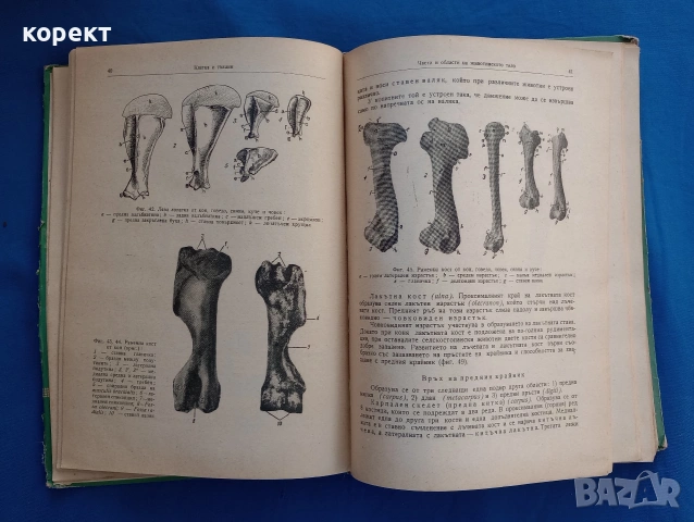 Физиология на селскостопанските животни с основи на анатомията , снимка 9 - Други - 53076336