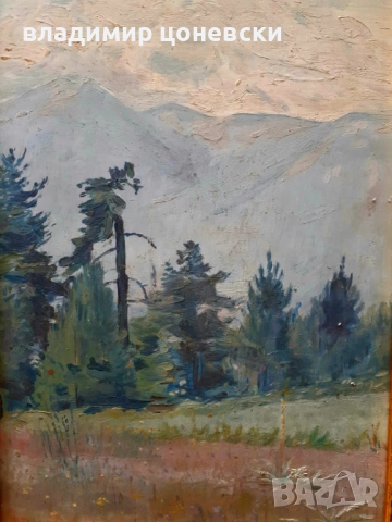 Любен Доганов,масло на картон,живопис,стара картина, снимка 2 - Картини - 54137569