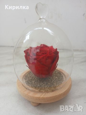 Роза във стъкло, снимка 1 - Декорация за дома - 46395125