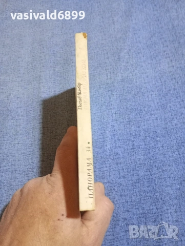 Гюстав Флобер - Писма до Луиз Коле , снимка 2 - Художествена литература - 54235159