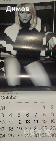 Лот календарчета и листове от големи календари, снимка 17 - Антикварни и старинни предмети - 53853629