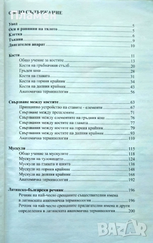 Анатомия на човека. Част 1: Двигателен апарат Мария Гикова, Ива Зарева , снимка 3 - Специализирана литература - 54226104