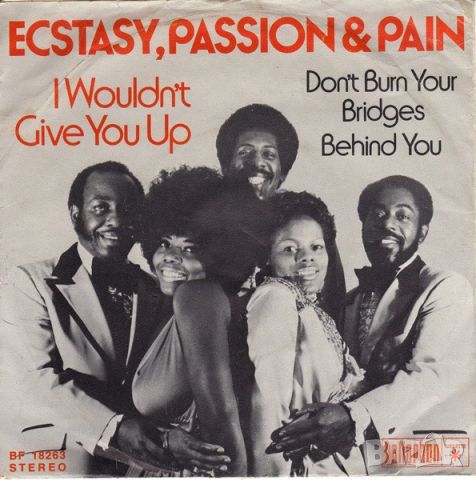 Грамофонни плочи Ecstasy, Passion & Pain ‎– I Wouldn't Give You Up 7" сингъл, снимка 1 - Грамофонни плочи - 45811808