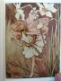 Flower Fairies Miniature library * Cicely Mary Barker , снимка 6