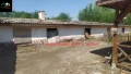 Животновъдна ферма с двуетажна къща в село Родина, снимка 6