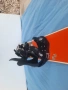 Сноуборд 126см. Rossignol JR R26 с автомати, снимка 5