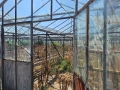 Продава се стъклена оранжерия, снимка 18