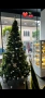 3 метра Коледна елха, снимка 1