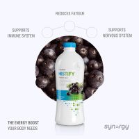 Synergy 730 мл Течна добавка с асай, зелен чай и горски плодове за имунитет,енергия,Детокс - 24 дози, снимка 2 - Хранителни добавки - 45483094
