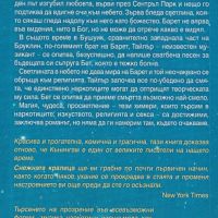 Снежната кралица /Майкъл Кънингам/, снимка 2 - Художествена литература - 45328162