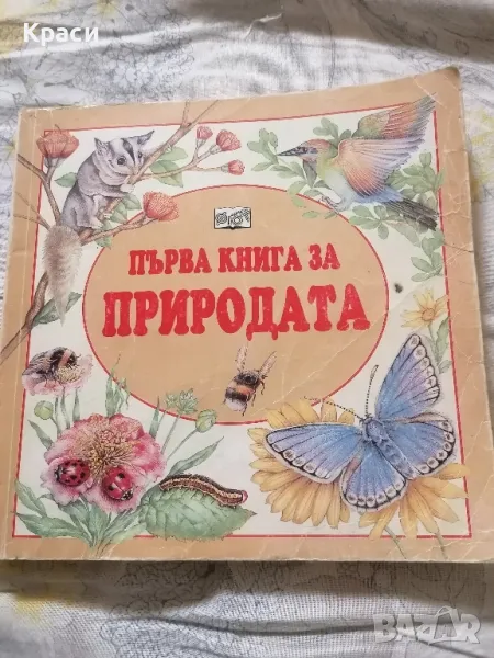 детска образователна книга , снимка 1