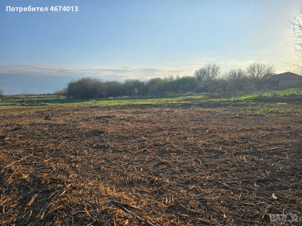 Парцел, 2818 кв.м. Област Русе, с. Ряхово, снимка 1