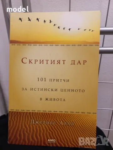 Скритият дар 101 притчи за истински ценното в живота - Джериес Авад, снимка 1 - Други - 49286838