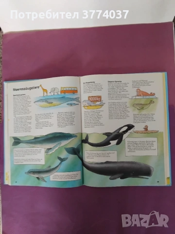 Детска енциклопедия и Приказки на Братя Грим на немски език , снимка 2 - Чуждоезиково обучение, речници - 54010903