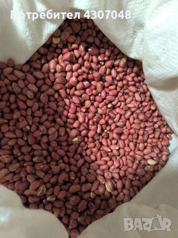 Фъстъци , снимка 2 - Хранителни добавки - 52348320