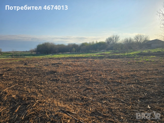 Парцел, 2818 кв.м. Област Русе, с. Ряхово