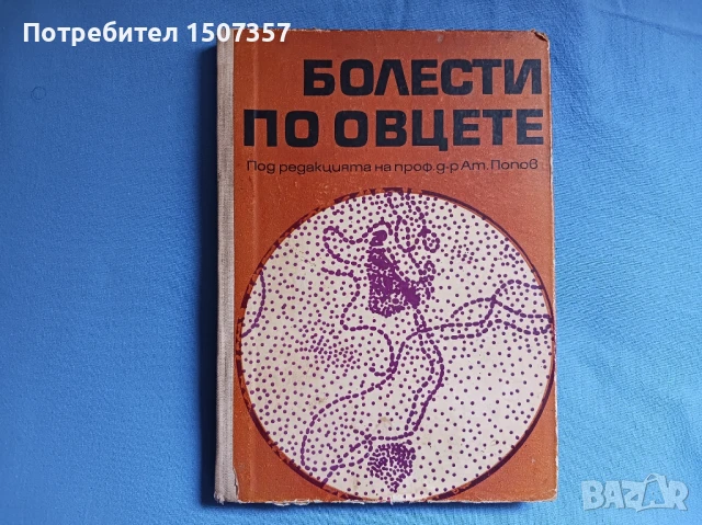 Болести по овцете