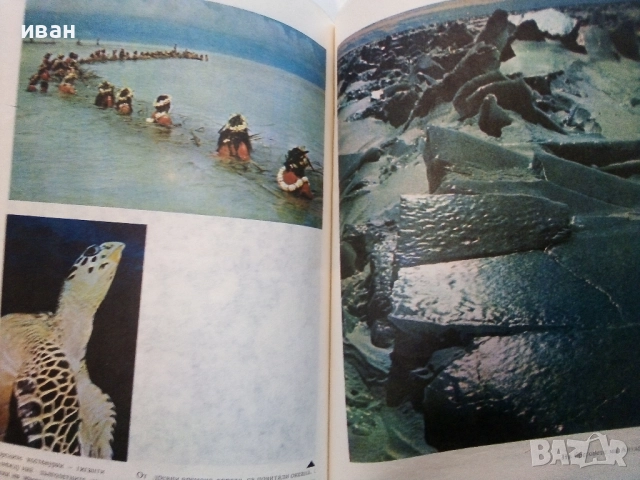 Белите платна на планетата - Никола Рашев - 1979г., снимка 5 - Енциклопедии, справочници - 52091161